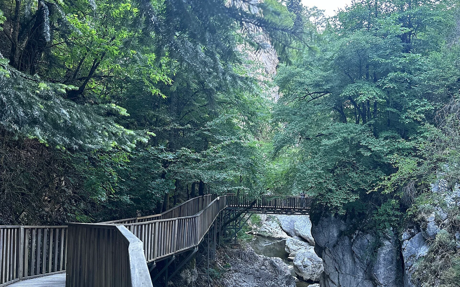 Ulus Nature Festival