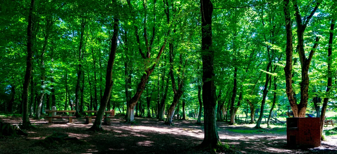 Balamba Nature Park