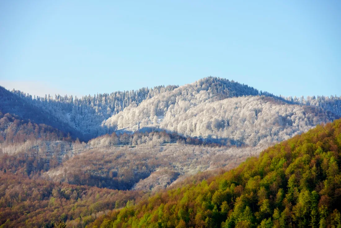 Küre Mountains National Park