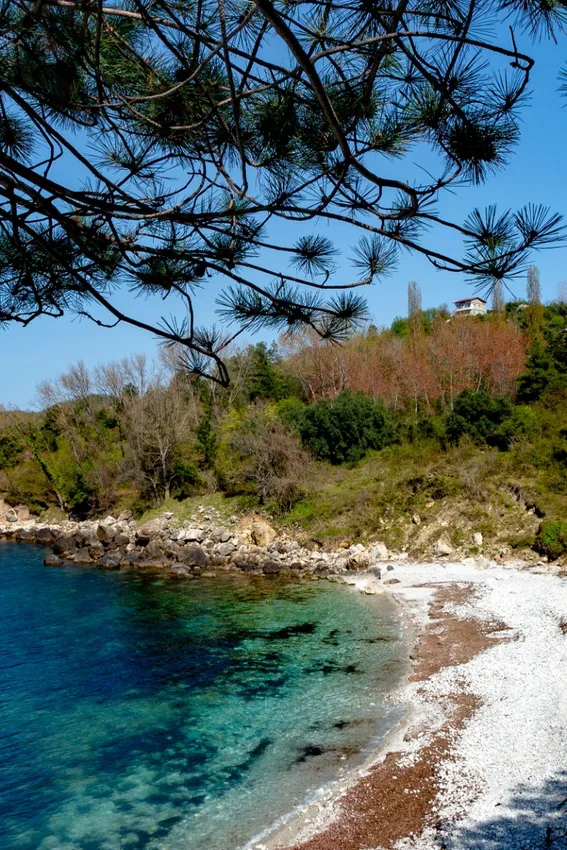 Kurucaşile